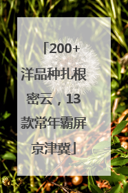 200+洋品种扎根密云，13款常年霸屏京津冀
